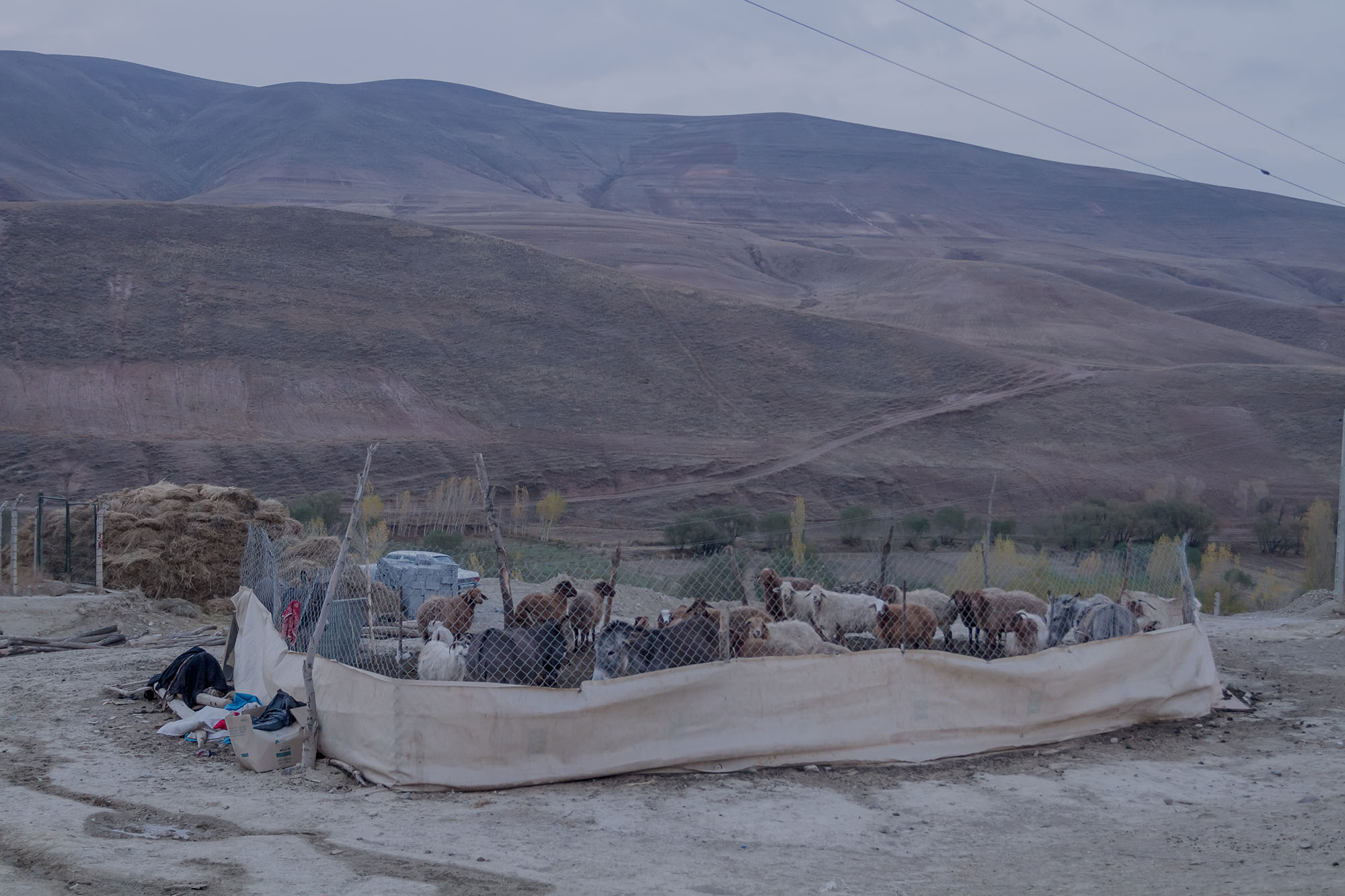 Varzaghan Earthquake, Iran, Azarbaijan, Varzaghan, Majid Farahani, Majid Farahani Photography, Narrative photography, artistic collaboration, documentary photography, narrative photography, storytelling photography, Visual narrative photography, Contemporary Iranian photography, Iranian photographer, Emotional Connection in Photography, Contemporary Iranian Photography, Visual Exploration of Personal Narratives, Storytelling through Portraits, Portrait Photography by Majid Farahani, Visual Storytelling in Photography, Narrative Photography Expert, Multidisciplinary Photography Artist, Storytelling through Portraits, Documentary Style Portraits, Visual Artist Focused on Human Stories, Lens-Based Art by Majid Farahani, Fusion of Fine Art and Documentary Photography, Visual Artist Exploring Human Narratives, Artistic Storytelling in Portraits, Personal and Shared Narratives, Documentary and Portrait Photography, Varzaghan Earthquake Report, 6.4 Magnitude Earthquake Varzaghan, Varzaghan Recovery Efforts, Varzaghan Disaster Aftermath, Varzaghan Shelter Issues, Post-Earthquake Varzaghan Conditions, East Azarbaijan Earthquake Damage