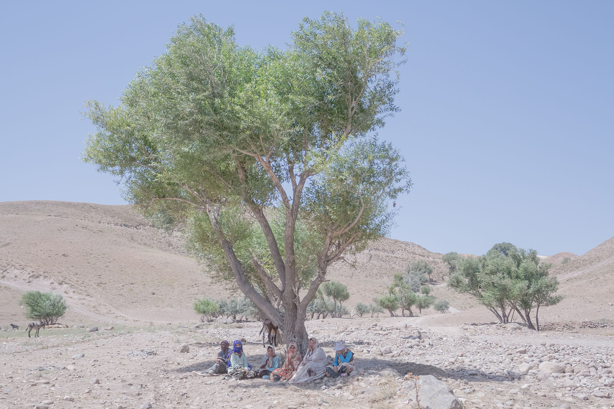 Varzaghan Earthquake, Iran, Azarbaijan, Varzaghan, Majid Farahani, Majid Farahani Photography, Narrative photography, artistic collaboration, documentary photography, narrative photography, storytelling photography, Visual narrative photography, Contemporary Iranian photography, Iranian photographer, Emotional Connection in Photography, Contemporary Iranian Photography, Visual Exploration of Personal Narratives, Storytelling through Portraits, Portrait Photography by Majid Farahani, Visual Storytelling in Photography, Narrative Photography Expert, Multidisciplinary Photography Artist, Storytelling through Portraits, Documentary Style Portraits, Visual Artist Focused on Human Stories, Lens-Based Art by Majid Farahani, Fusion of Fine Art and Documentary Photography, Visual Artist Exploring Human Narratives, Artistic Storytelling in Portraits, Personal and Shared Narratives, Documentary and Portrait Photography, Varzaghan Earthquake Report, 6.4 Magnitude Earthquake Varzaghan, Varzaghan Recovery Efforts, Varzaghan Disaster Aftermath, Varzaghan Shelter Issues, Post-Earthquake Varzaghan Conditions, East Azarbaijan Earthquake Damage